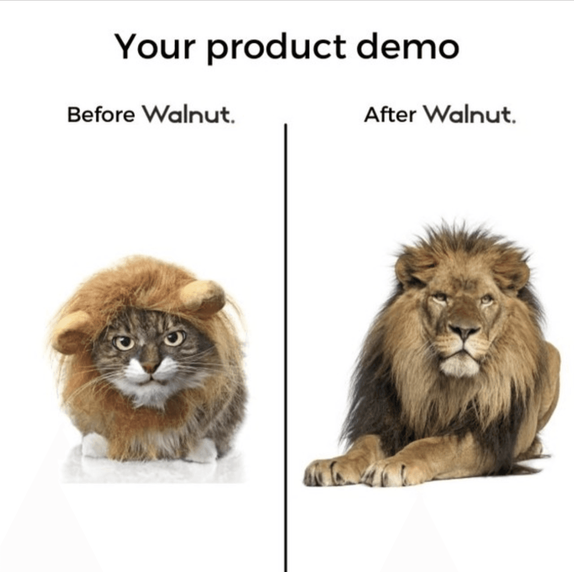 Anúncio de Walnut — SaaS